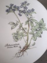 Assiette Porcelaine Winterling. Mobil. 24.5 Cm. (2).