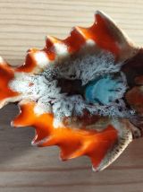 Cendrier poisson Vallauris 