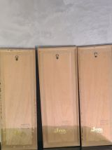 cadre  art nouveau , encadrement par pro,     affiche sarah 