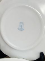 Set de 5 assiettes à dessert Arcopal mini roses