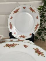 Set de 5 assiettes à dessert Arcopal mini roses