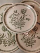 6 Assiettes en Céramique décor Floral Botanique Vintage TBE