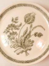 6 Assiettes en Céramique décor Floral Botanique Vintage TBE