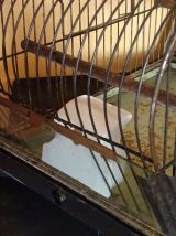 Cage à oiseaux en métal avec mangeoires en porcelaine.