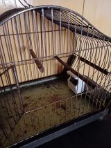 Cage à oiseaux en métal avec mangeoires en porcelaine.