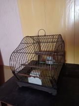 Cage à oiseaux en métal avec mangeoires en porcelaine.