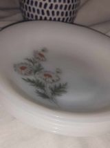 5 assiettes a dessert arcopal modele marguerites