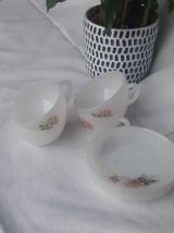 Service tasses et soucoupe arcopal collection rose de france