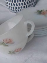 Service tasses et soucoupe arcopal collection rose de france