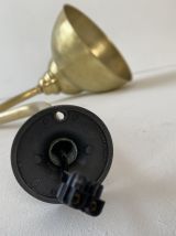 PAIRE D’ANCIENNES APPLIQUES COL DE CYGNE VINTAGE