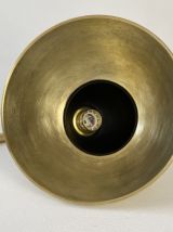 PAIRE D’ANCIENNES APPLIQUES COL DE CYGNE VINTAGE