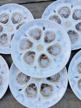 6 assiettes huîtres barbotine Manufacture St Amand