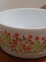 Très Joli Saladier Scania Arcopal Vintage