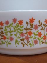 Très Joli Saladier Scania Arcopal Vintage