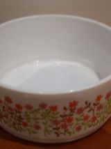 Très Joli Saladier Scania Arcopal Vintage