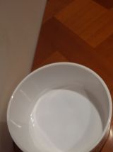 Très Joli Saladier Scania Arcopal Vintage