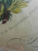 Ancienne lithographie de Becquet frères : le sacré cœur de j