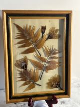 Lot de 4 cadres en bois , Atelier de Chantoiseau.