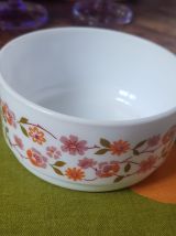 Bol/coupelle Arcopal Scania