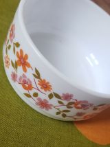 Bol/coupelle Arcopal Scania