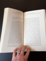 Le Soleil des Enfants Perdus- Guy Marchand- Ginkgo 