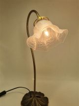 Lampe en col de cygne
