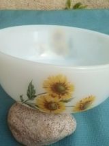 plat  ARCOPAL, vintage