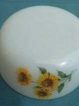 plat  ARCOPAL, vintage