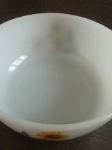 plat  ARCOPAL, vintage