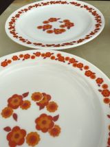 Lot lotus Arcopal 6 pieces 