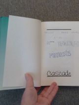 Le Mystère de la Nuit des Pierres- Evelyne Brisou Pellen 