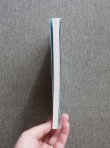 Louison et Monsieur Molière- Marie Christine Helgerson 