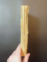 Dame de Lyon- Joseph Jolinon- 1932- Les Editions Rieder  