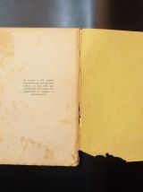 Dame de Lyon- Joseph Jolinon- 1932- Les Editions Rieder  