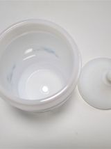 Pot Arcopal Veronica Myosotis