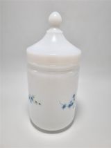 Pot Arcopal Veronica Myosotis