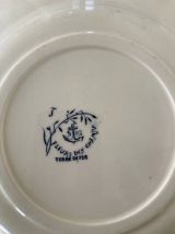 Assiette plate Terre de fer 