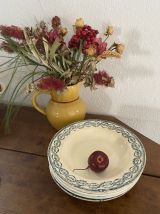 6 assiettes creuses terre de fer Salins et Moulin des Loups.