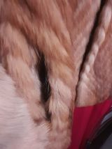 Veste fourrure renard