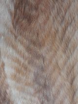 Veste fourrure renard