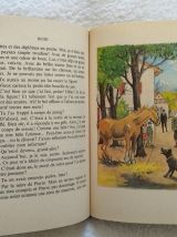 Heidi Le secret de l'alpe - éd. G.P Rouge et Or - 1979