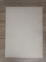 Illustration art nouveau papier peint par René Binet 1902