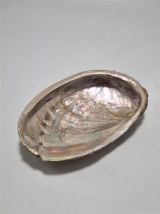 Vide poche coquillage