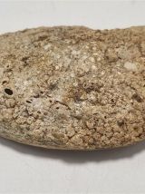 Vide poche coquillage