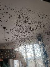 Miroir néogothique en chêne sculpté vers 1940