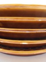  Série de 5 assiettes sarreguemines 