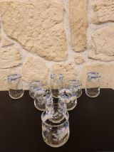 Lot de 9 verres Arcopal Florine – fleuris et rétro