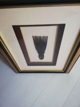 Cadre Décoratif D'afrique Du Sud 