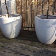 3 grands pots de fleurs en céramique blanche