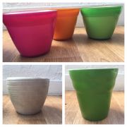 Pots & vase